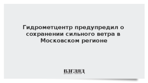 Гидрометцентр предупредил о сохранении сильного ветра в Московском регионе